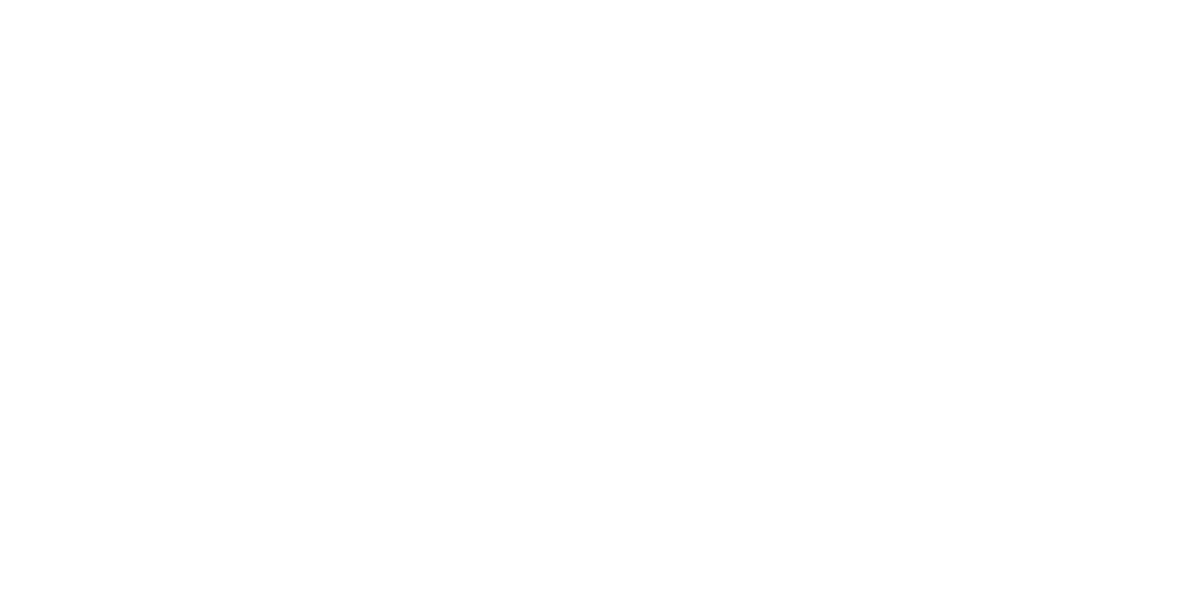 VERSUS-LOGO-TRANSPARENT-WHITE (1)